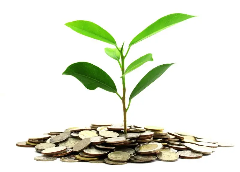 Инвестиции SKF в сохранение экологии | Свежие новости в Чите