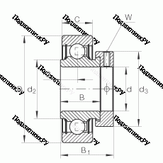 Подшипник RALE 20-NPP-FA 106